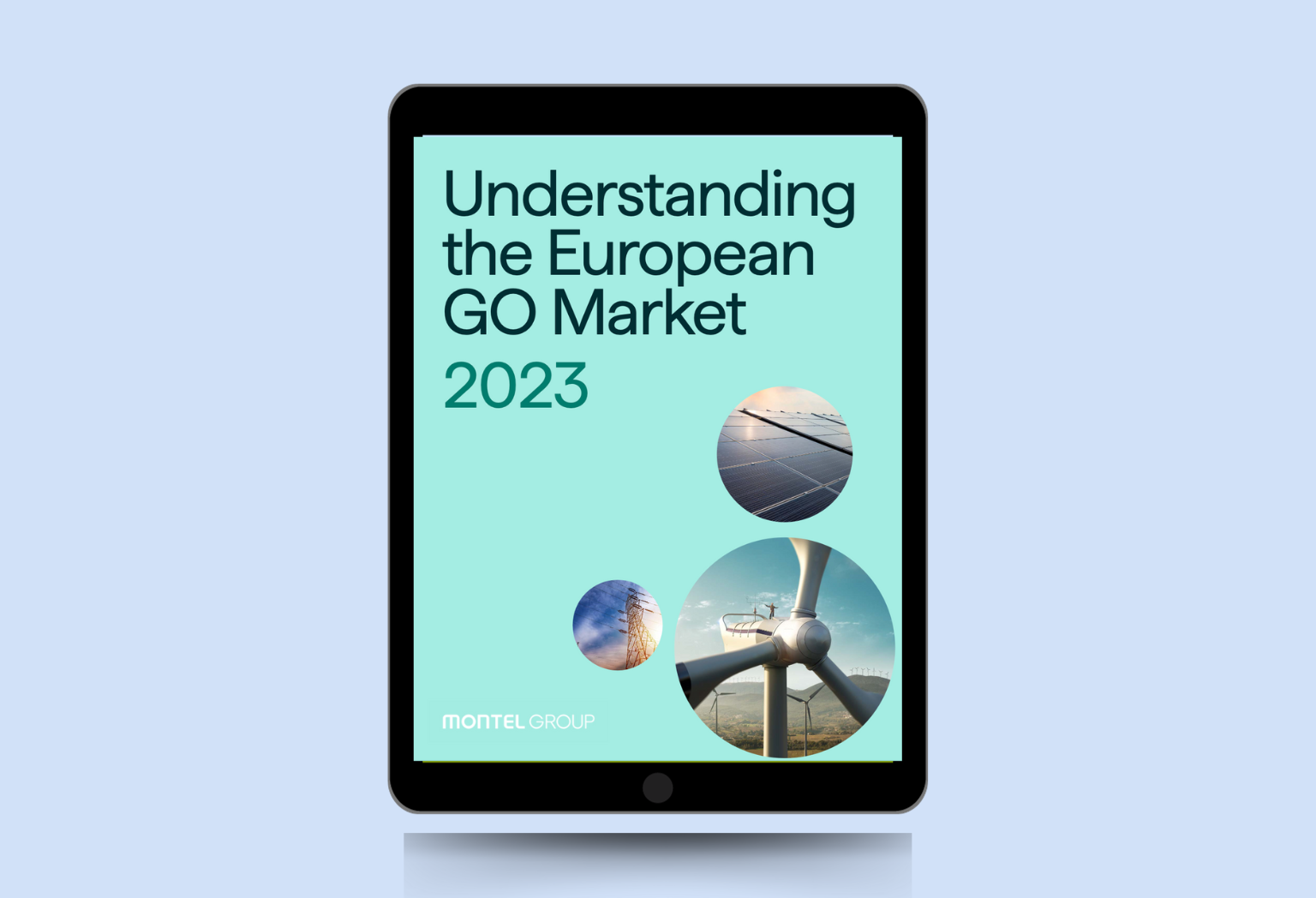 ebook Understanding the European Guarantees of Origin Market